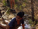 2006 campamento terranova