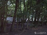 2011 07 gilwell park