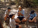 2006 campamento terranova