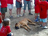 2008 07 Campamento Bermejales
