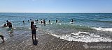 Salida de la Colonia y la Manada a la playa