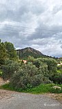 Salida de la manada de lobatos a Jabalcuza