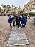 Juego de ciudad de Manada