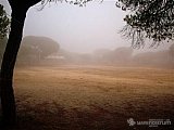 2006 campamento terranova