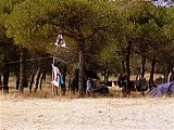 2006 campamento terranova