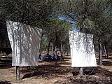 2006 campamento terranova