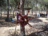2006 campamento terranova