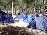 2006 campamento terranova