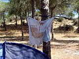 2006 campamento terranova