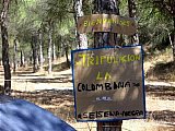 2006 campamento terranova