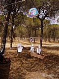 2006 campamento terranova