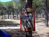 2006 campamento terranova
