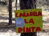 2006 campamento terranova