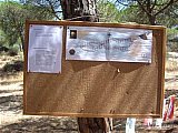 2006 campamento terranova