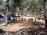 2006 campamento terranova
