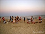2006 campamento terranova