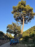 Campamenthor Ragnarostrum