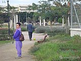 2009 11 28 Juego de ciudad