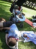 2006 festival