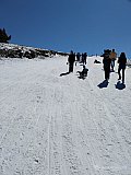 Aventura de la tropa scout en la nieve 