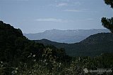2009 07 Campamento Florencia
