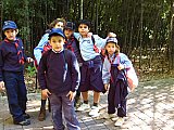 2008 11 Jardin Botanico Manada