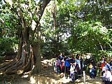 2008 11 Jardin Botanico Manada