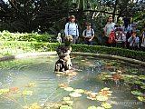 2008 11 Jardin Botanico Manada