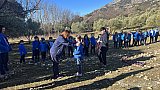 Acampada de grupo en Alfarnatejo