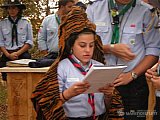 2005 patrones
