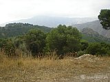 2009 10 escultas el chorro