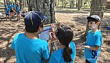 Campamento Pika Pika Nostrum'26