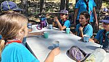 Campamento Pika Pika Nostrum'26