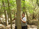 2007 Marehaw