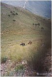 Fotos antiguas A.S.A. (1986 - 2000)