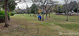 Salida de la manada al parque de la paloma