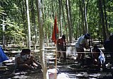 Campamento de verano Olimpo 2003
